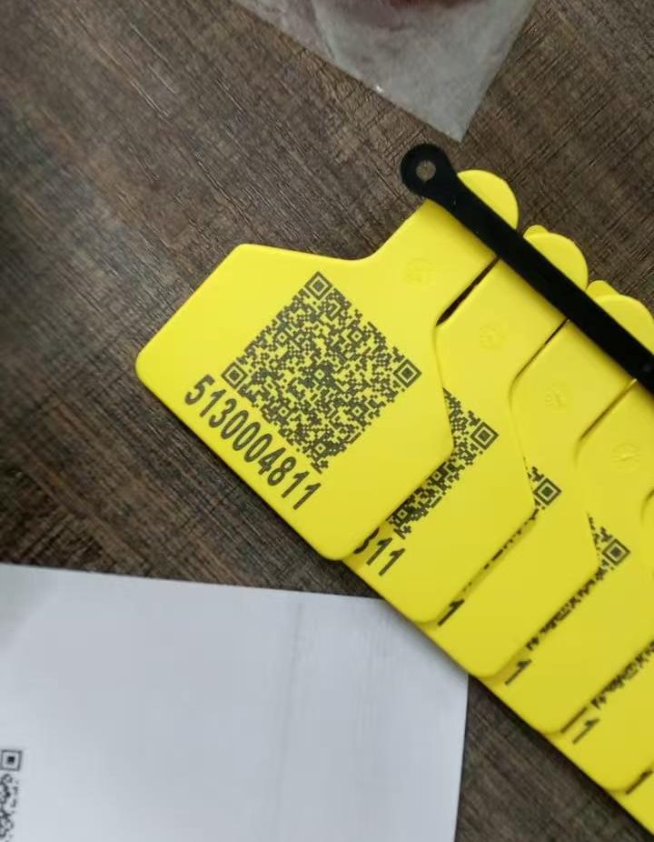 Why are fiber laser marking machines widely used for animal ear tags? Why are fiber laser marking machines widely used for animal ear tags?